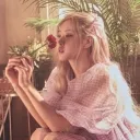 velvet_rose