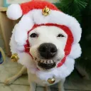 jinheelovers333 avatar