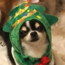 avatar 𝕚𝕟𝕔𝕖𝕡𝕥𝕠