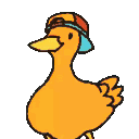 duckdance