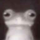 blu3raspb3rryslushi3 member profile picture