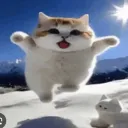 napoleon_bonaparte43