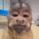 delciom