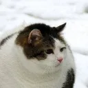 rsqr_