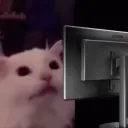 ramennottrash avatar