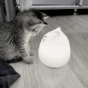 avoidedczechtramvajvolnotady