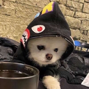 vladyslove