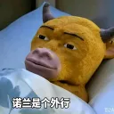 irely_uwu