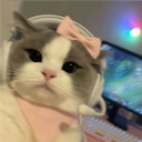 avatar ༘♡ ⋆｡