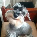 Аватар fryti_.