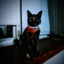 shimmterling#4926's avatar