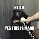 helloyesthisismark