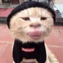 ur_fav_baby_duck