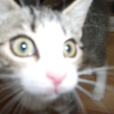 View vardig's Profile