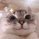 pinkpandabutt