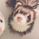 laiffff