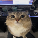 Discord Avatar