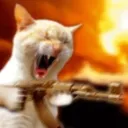 kinggambla