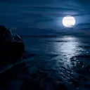 moon_dark_101 avatar