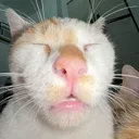 1grnwd