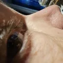 flybyplane