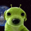 avatar stevosobonito