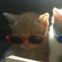 avatar stevosobonito