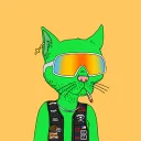alishaadad