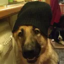 muxjh