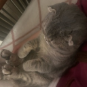 avatar ♡𝕷𝖎𝖆♡