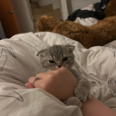 avatar ♡𝕷𝖎𝖆♡