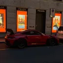 dziku_111