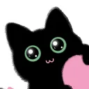 _4orca_