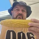 gombvillam_