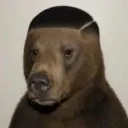 anas200qi