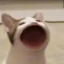 Memezicle avatar
