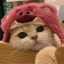 kk_kiseki