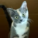 mayanayza