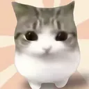 elestrellasxd