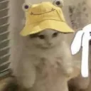 frienfelloooooooooooo