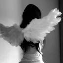 avatar !    ♡ 𝑴𝒐𝒐𝒏𝒍𝒊𝒈𝒉𝒕 ♡