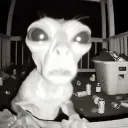 ._.p3ngu1n._. avatar