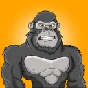ballergorillasclub7385