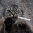 jato