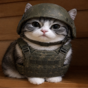 avatar Myrtan