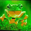 frogzindatub