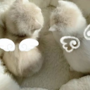 avatar 莉