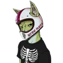 sphynxtrippin