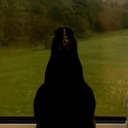 avatar Evil black chicken