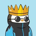 onchainchico